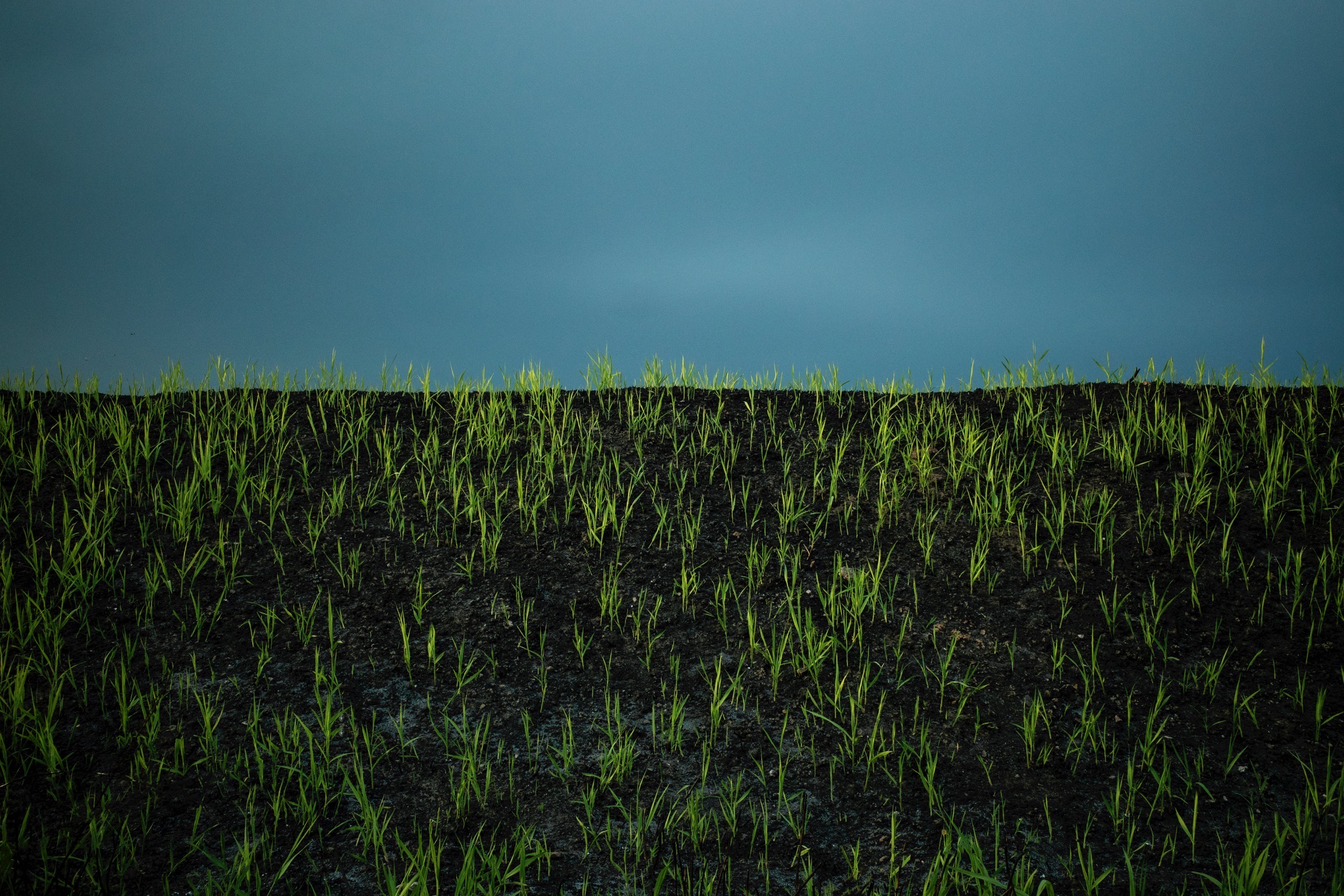 Hero photo - Mauro Macchioni Photography